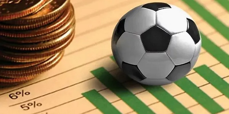 Bạn cần phải không ngừng học hỏi cũng như trao dồi thêm kiến thức