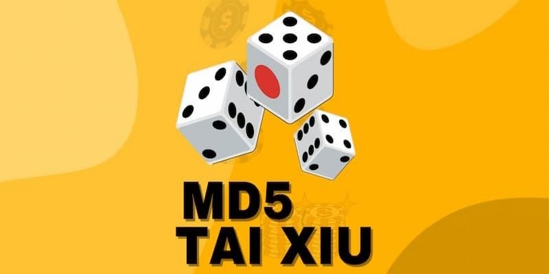 Cách chơi tài xỉu md5