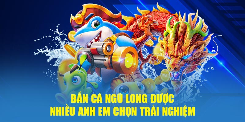 Ứng dụng chiến lược săn ngư phù hợp