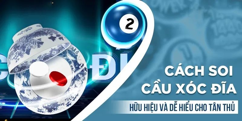 Hướng dẫn cách bắt cầu xóc đĩa