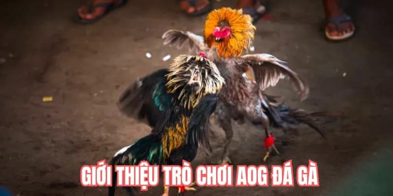 Tìm hiểu về sảnh game