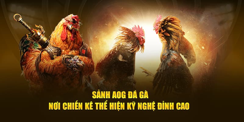 Các hình thức chọi gà nổi tiếng tại AOG