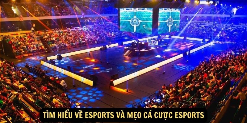 Về cá cược Esports