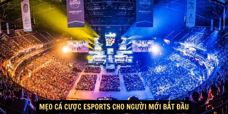 Kèo đội vô địch trong cá cược Esports