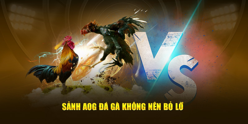Sức hút của sảnh game
