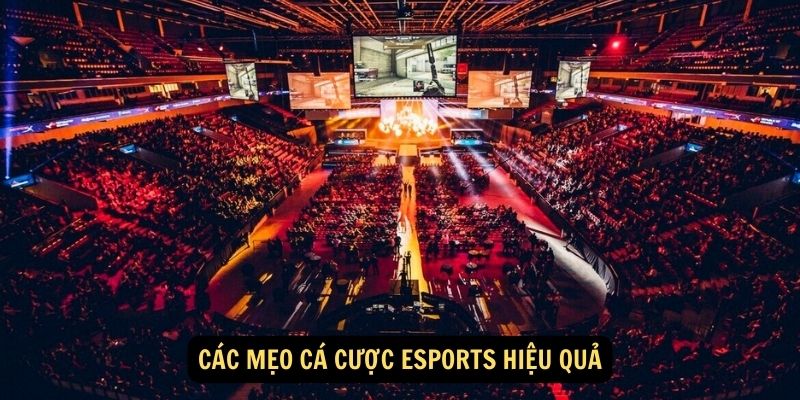 Những loại kèo phổ biến trong cá cược Esports BJ88