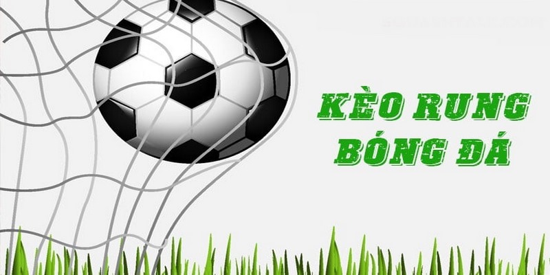 Kinh nghiệm chơi rung từ những cược thủ kỳ cựu