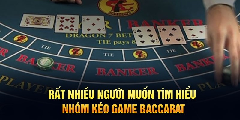 Quy trình hoạt động