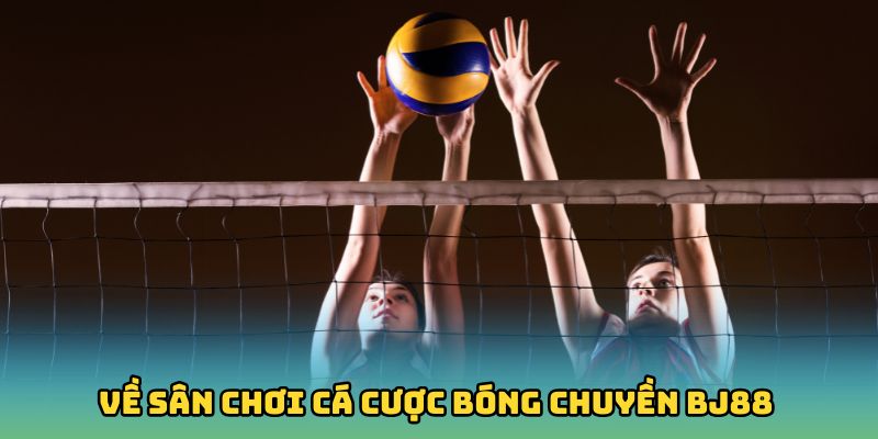 Những điều cần biết về sân chơi cá cược bóng chuyền BJ88