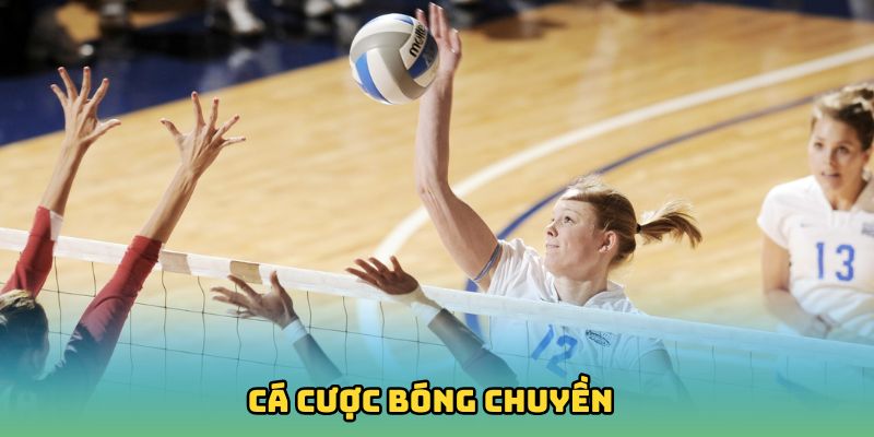 Cá Cược Bóng Chuyền