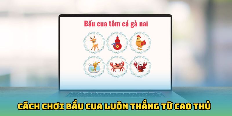 Cách chơi bầu cua luôn thắng từ cao thủ 
