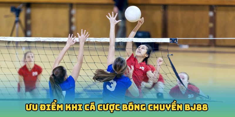 ưu điểm khi cá cược bóng chuyền bj88