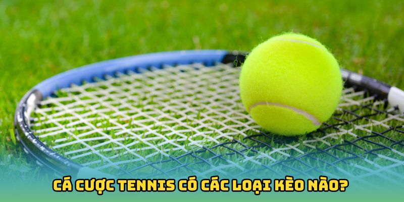 Cá cược tennis có các loại kèo nào?