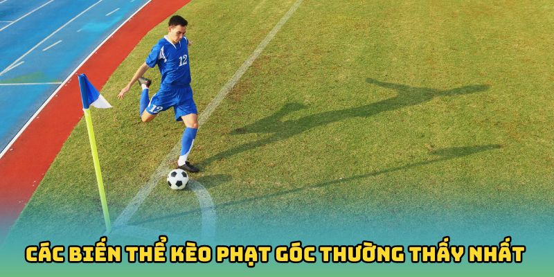 Các biến thể kèo phạt góc thường thấy nhất