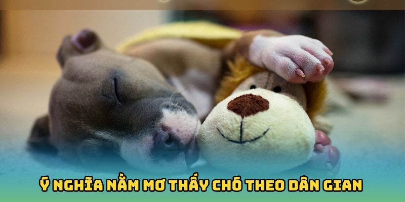 Giải nghĩa ý nghĩa nằm mơ thấy chó theo quan niệm dân gian