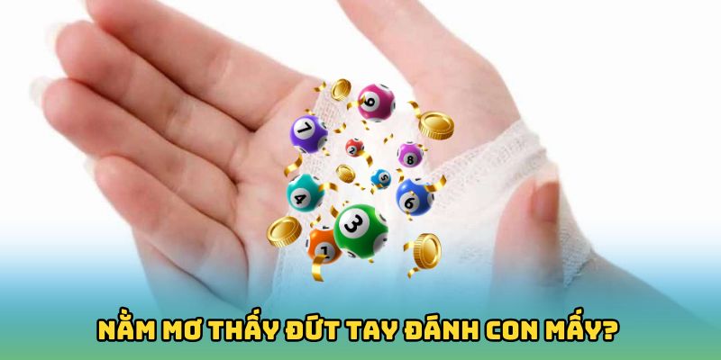 Nằm mơ thấy đứt tay đánh con mấy?