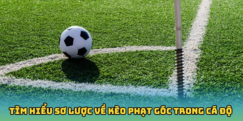 Tìm hiểu sơ lược về kèo phạt góc trong cá độ