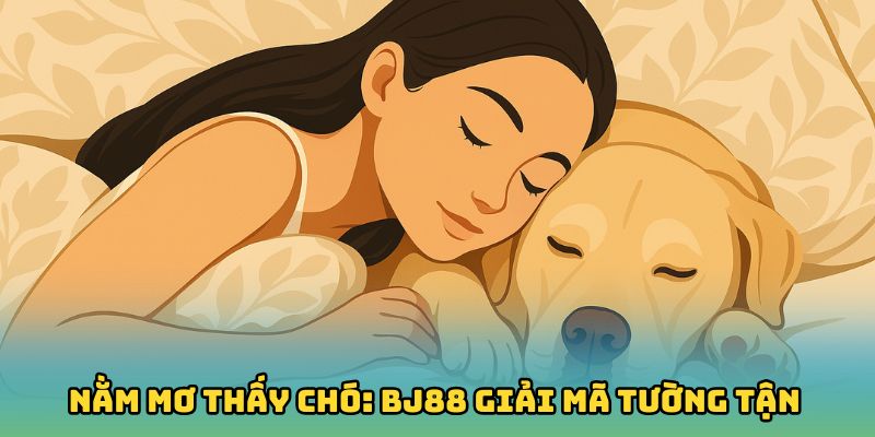 Nằm Mơ Thấy Chó