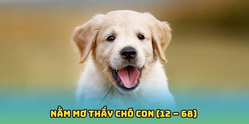 Nằm mơ thấy chó con (12 – 68)
