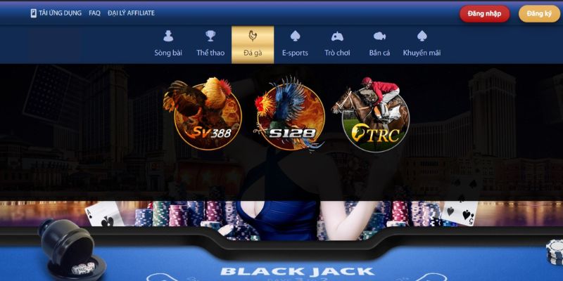 Những Điều Cần Biết Về Đá Gà Trực Tiếp 388 Siêu Hot Hit