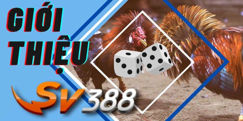 Đá gà trực tiếp 388 là trò chơi gì?