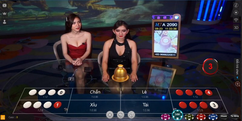 Hình ảnh xóc đĩa từ những Dealer xinh đẹp