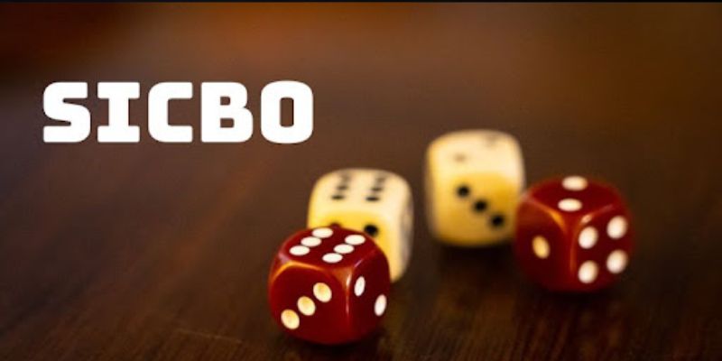 Tìm hiểu Sicbo là gì?