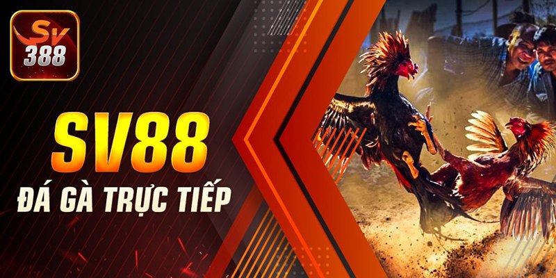 Khái quát thông tin về sảnh SV388 đá gà