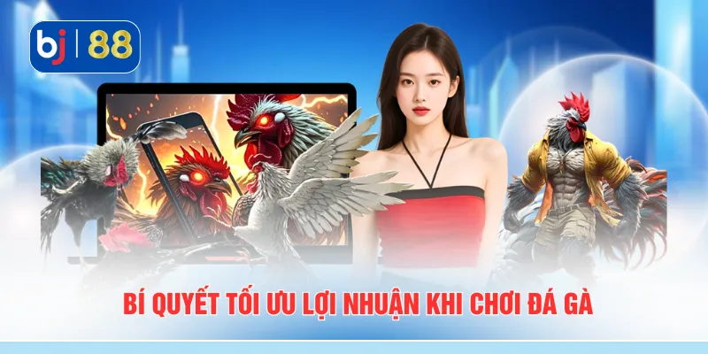 Bí quyết tối ưu lợi nhuận khi chơi đá gà