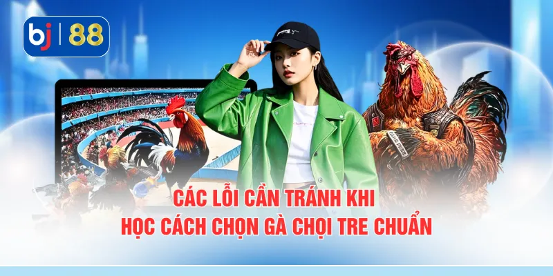Các lỗi cần tránh khi học cách chọn gà chọi tre chuẩn