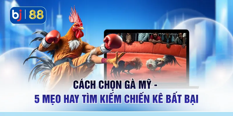 Cách Chọn Gà Mỹ - 5 Mẹo Hay Tìm Kiếm Chiến Kê Bất Bại
