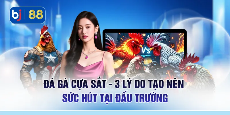 Đá Gà Cựa Sắt - 3 Lý Do Tạo Nên Sức Hút Tại Đấu Trường