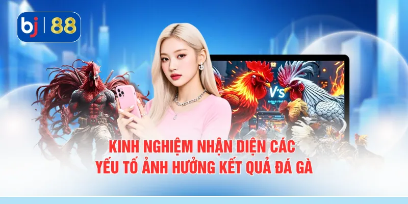 Kinh nghiệm nhận diện các yếu tố ảnh hưởng kết quả đá gà
