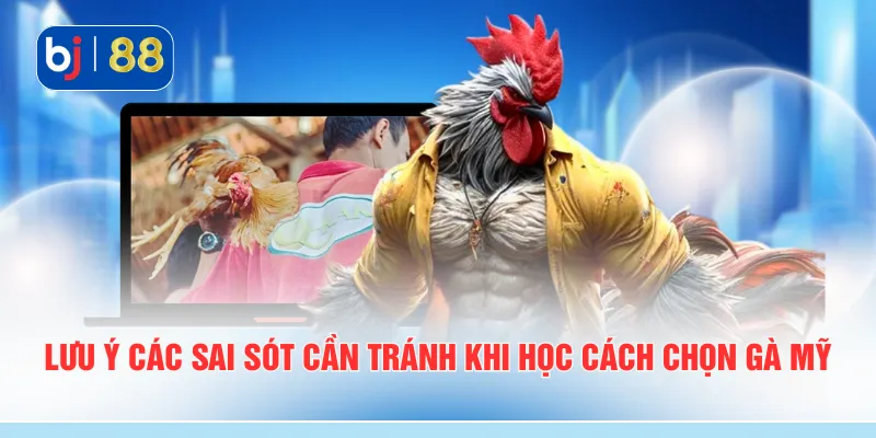 Lưu ý các sai sót cần tránh khi học cách chọn gà mỹ