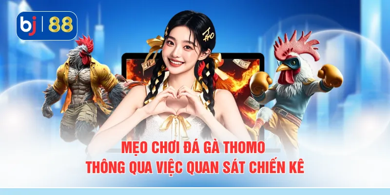 Mẹo chơi đá gà thomo thông qua việc quan sát chiến kê