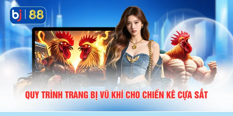 Quy trình trang bị vũ khí cho chiến kê cựa sắt