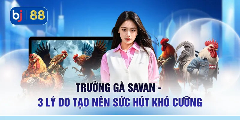 Trường gà Savan - 3 Lý Do Tạo Nên Sức Hút Khó Cưỡng