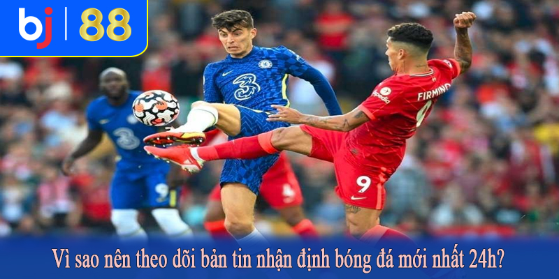 Vì sao nên theo dõi bản tin nhận định bóng đá mới nhất 24h?